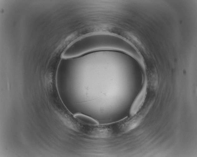 X0000066000260200603031228