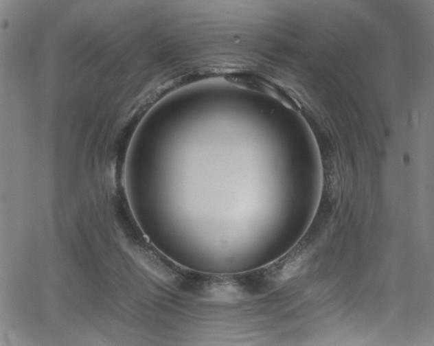 X0000066000262200603031228