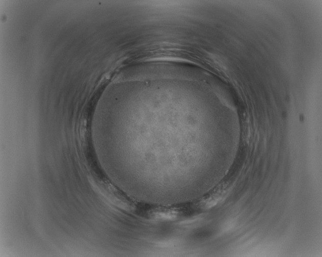 X0000066000263200603031228