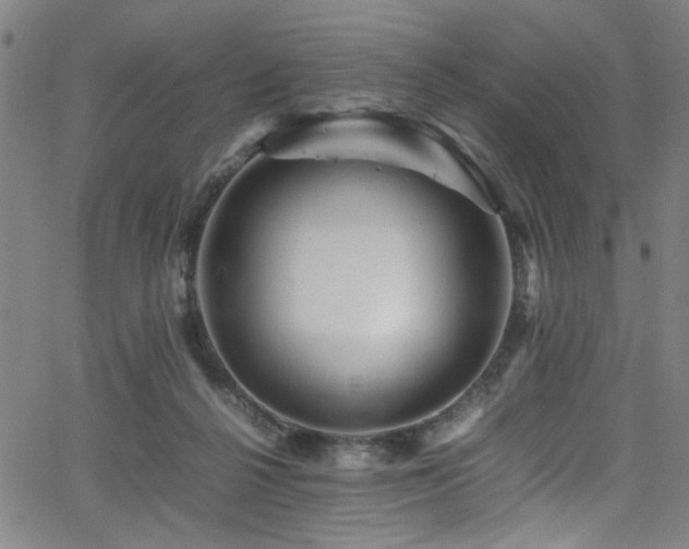 X0000066000264200603031228