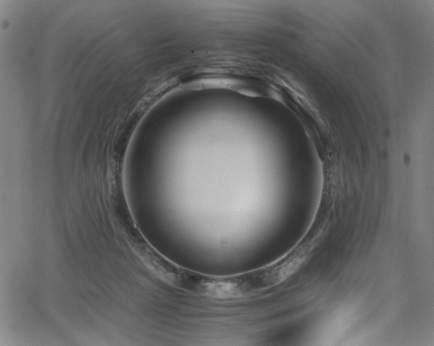 X0000066000265200603031228