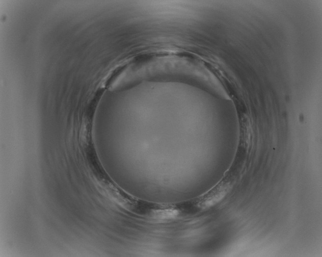 X0000066000266200603031228