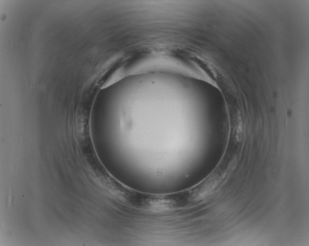 X0000066000268200603031228