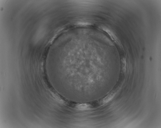 X0000066000269200603031228