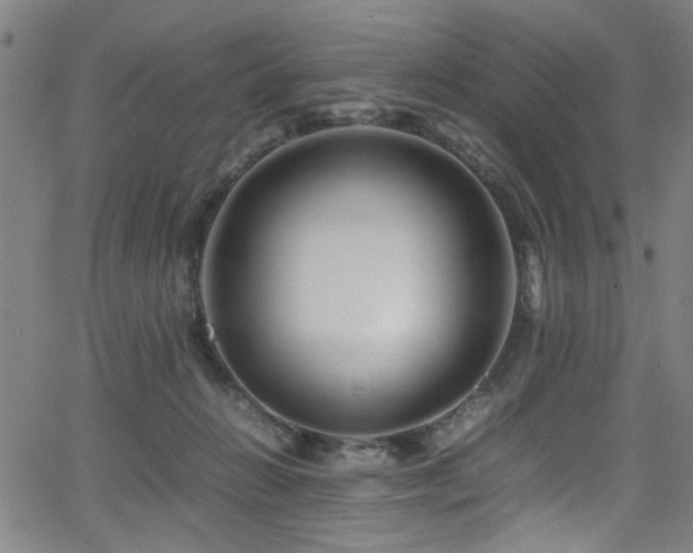 X0000066000270200603031228