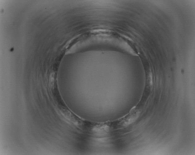 X0000066000271200603031228