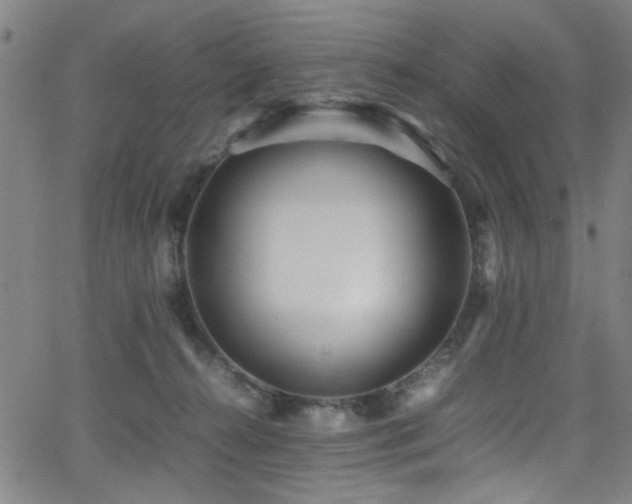 X0000066000272200603031228