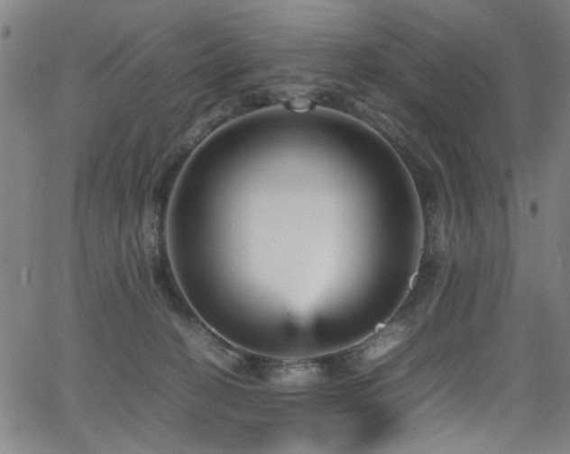 X0000066000274200603031228