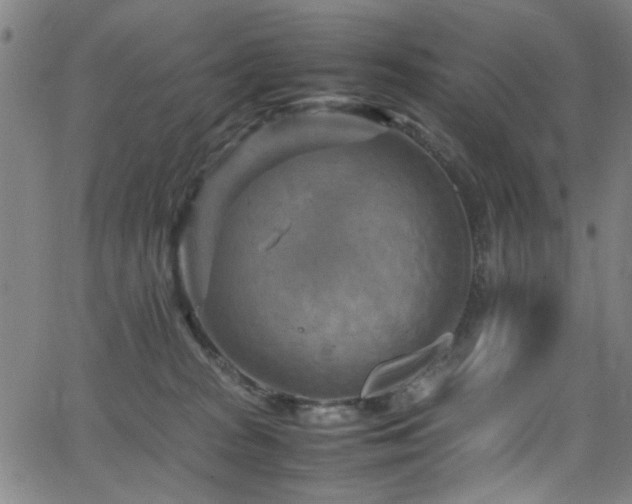 X0000066000277200603031228