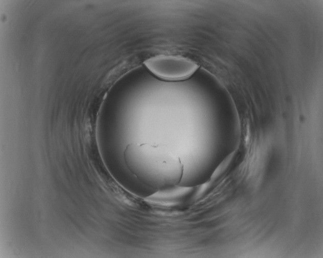 X0000066000279200603031228