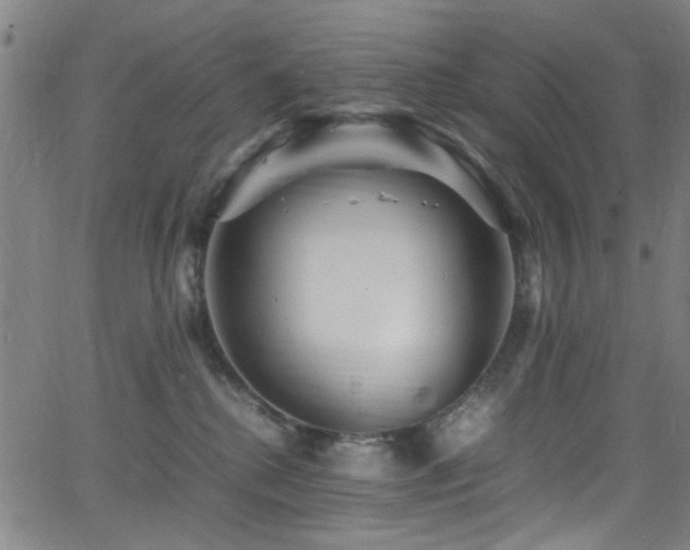 X0000066000280200603031228