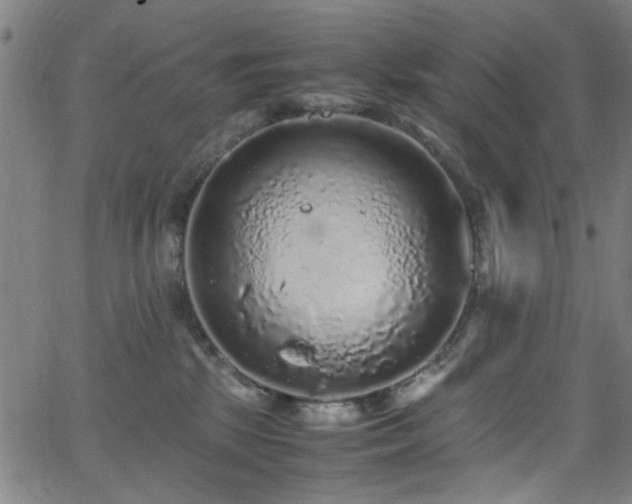 X0000066000281200603031228