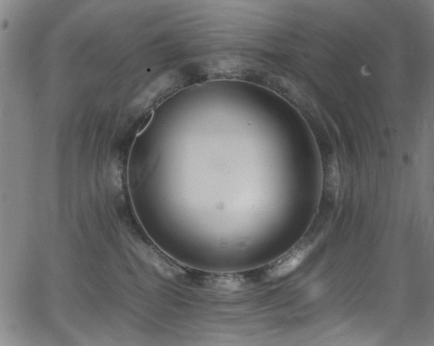 X0000066000282200603031228