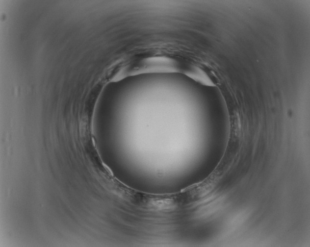 X0000066000283200603031228