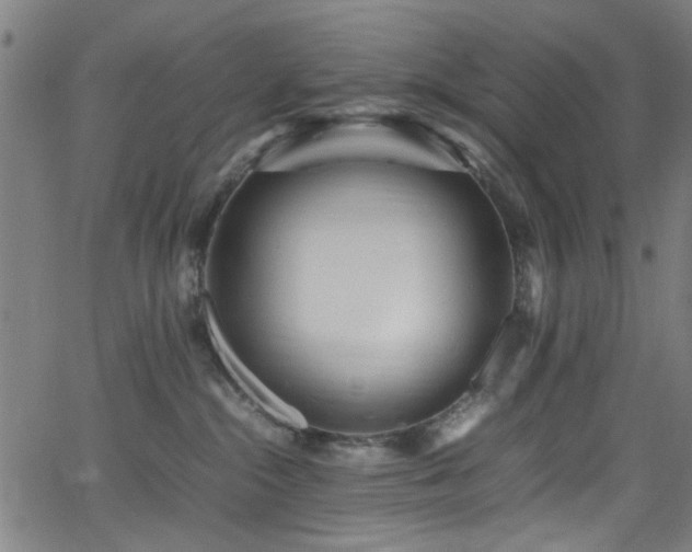 X0000066000284200603031228