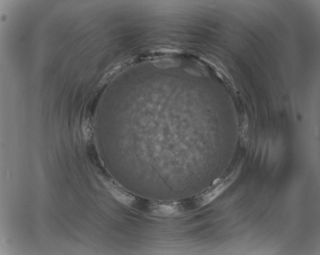 X0000066000285200603031228