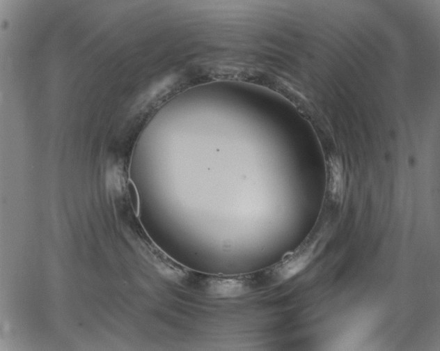 X0000066000287200603031228