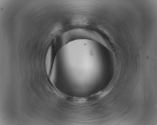 X0000066000288200603031228