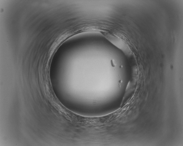 X0000066000289200603031227