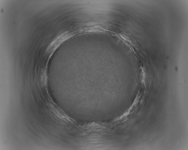 X0000066000290200603031227