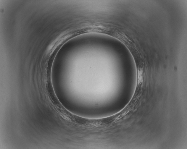 X0000066000291200603031227