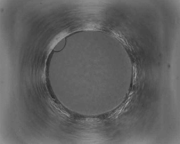 X0000066000292200603031227