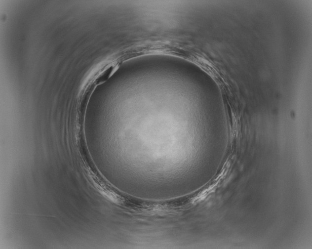 X0000066000293200603031227