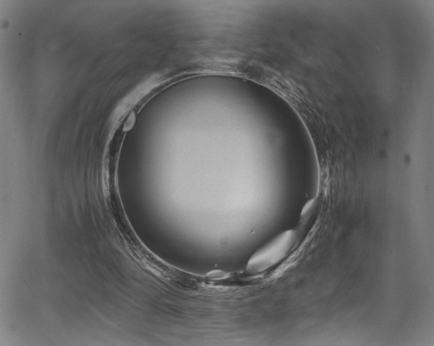 X0000066000294200603031227