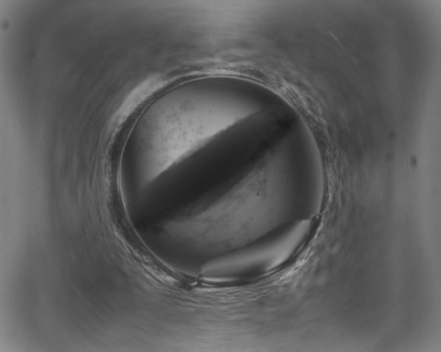 X0000066000295200603031227