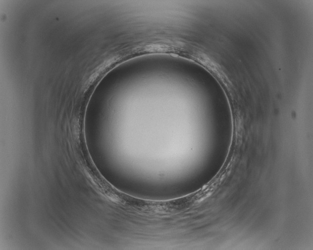 X0000066000297200603031227