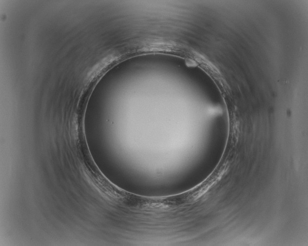 X0000066000298200603031227