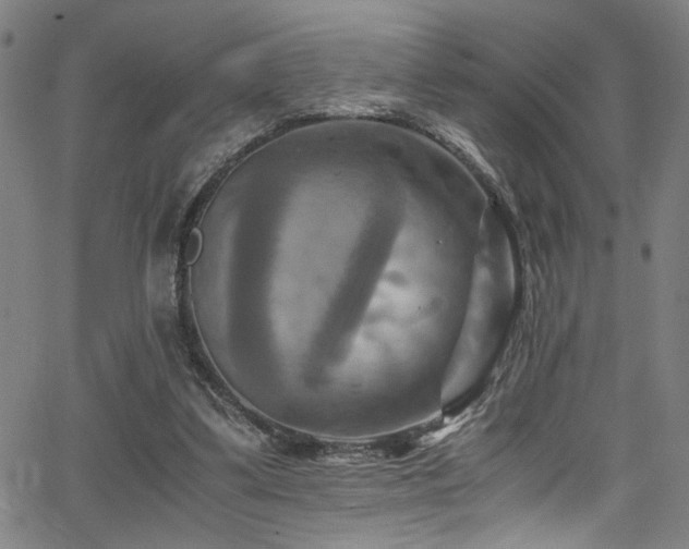 X0000066000299200603031227