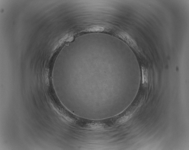 X0000066000300200603031227