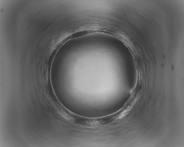 X0000066000301200603031227