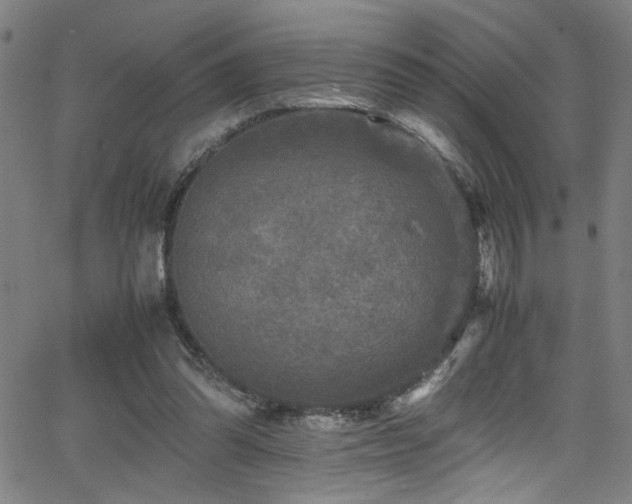 X0000066000302200603031227