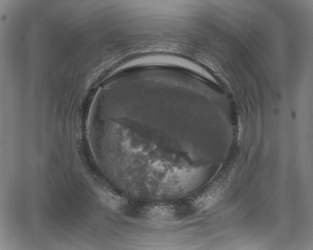 X0000066000303200603031227