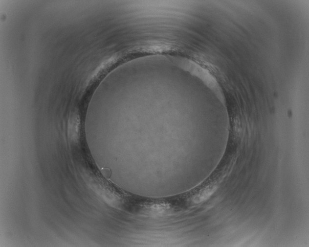 X0000066000304200603031227