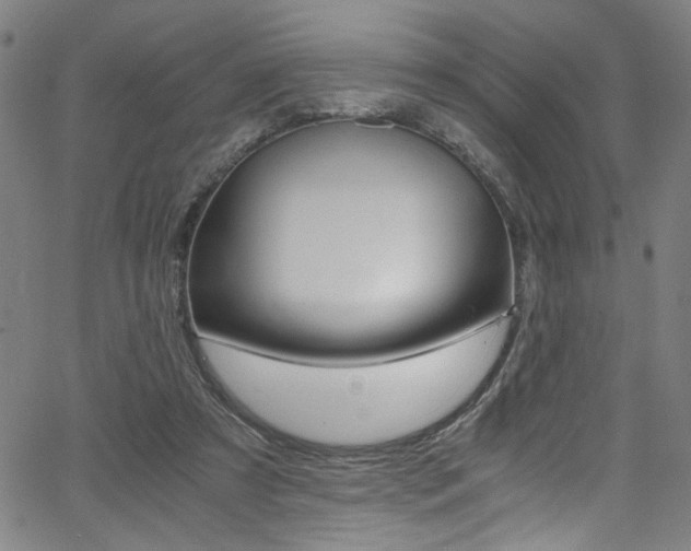 X0000066000305200603031227