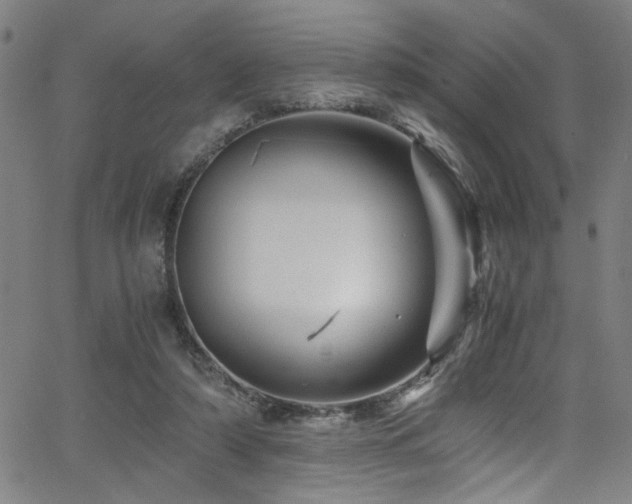 X0000066000306200603031227