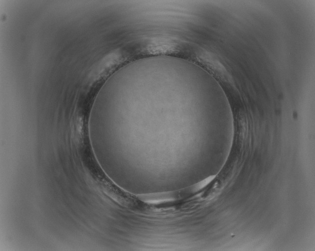 X0000066000308200603031227