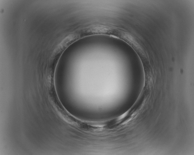 X0000066000309200603031227