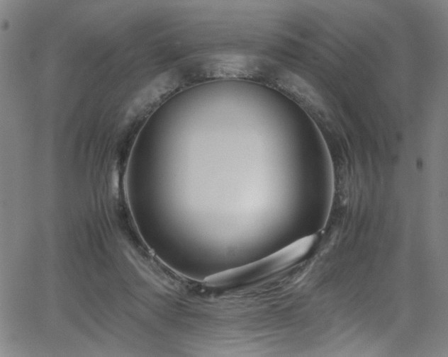 X0000066000310200603031227