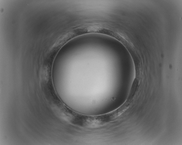 X0000066000311200603031227