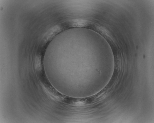 X0000066000312200603031227