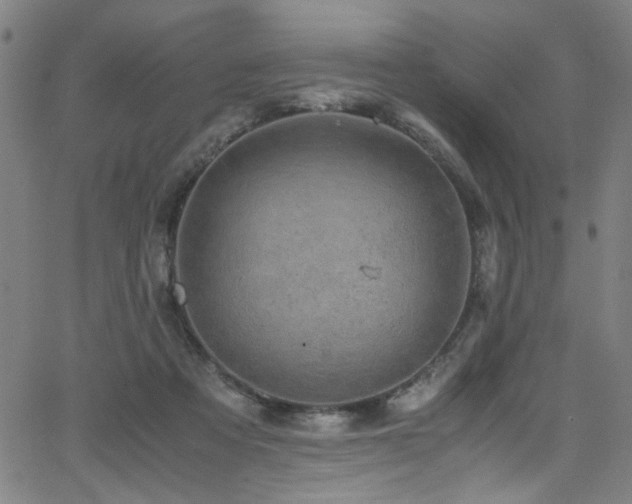 X0000066000313200603031227