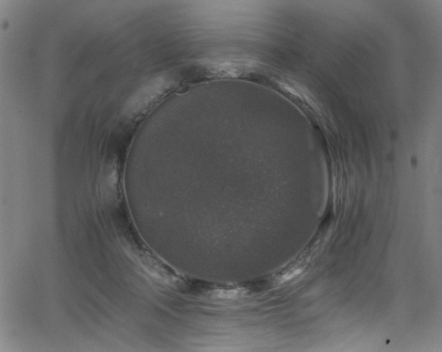 X0000066000314200603031227