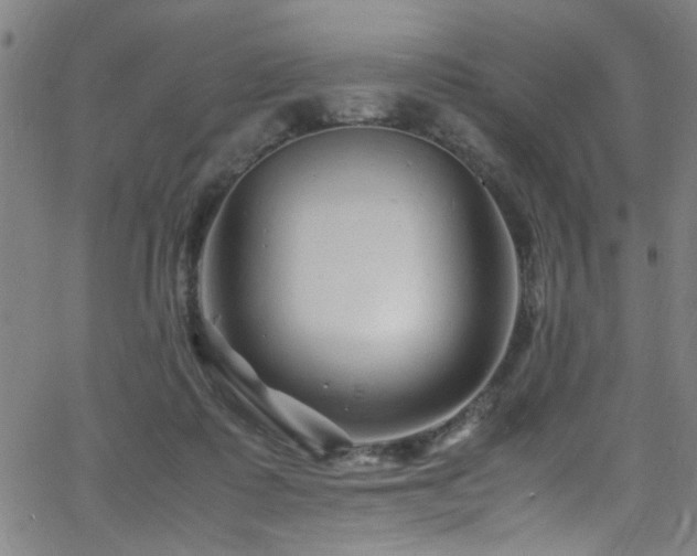 X0000066000315200603031227