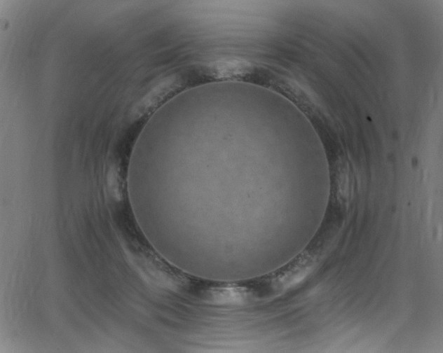 X0000066000316200603031227