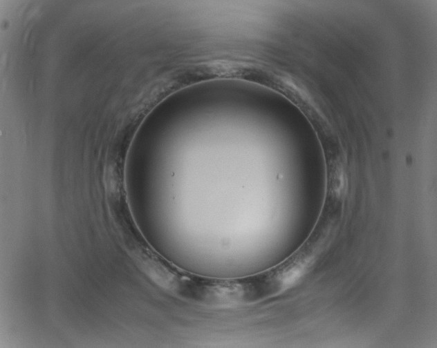 X0000066000317200603031227