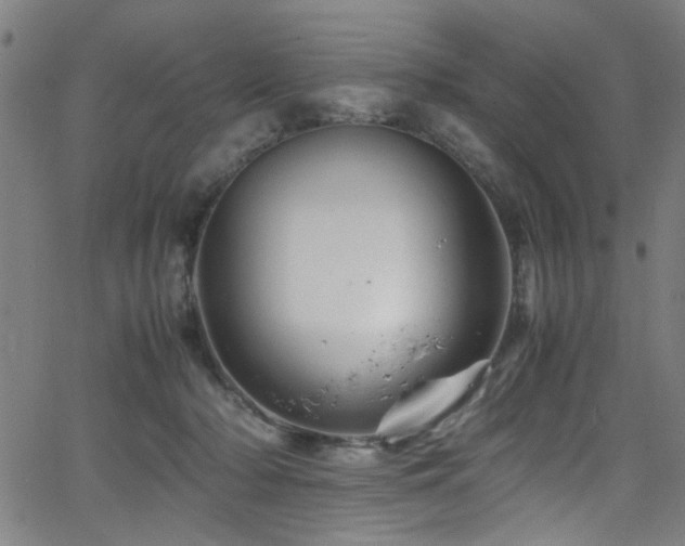 X0000066000318200603031227